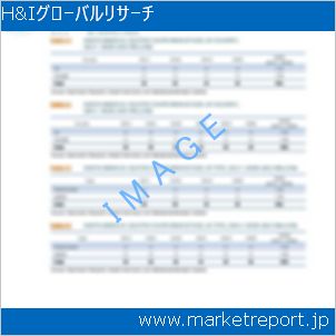 市場と産業調査レポートのイメージ